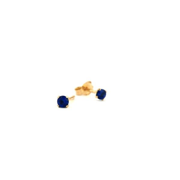 Auksiniai auskarai su mėlynu cirkoniu | Juvelyrika Baltijos Perlas |